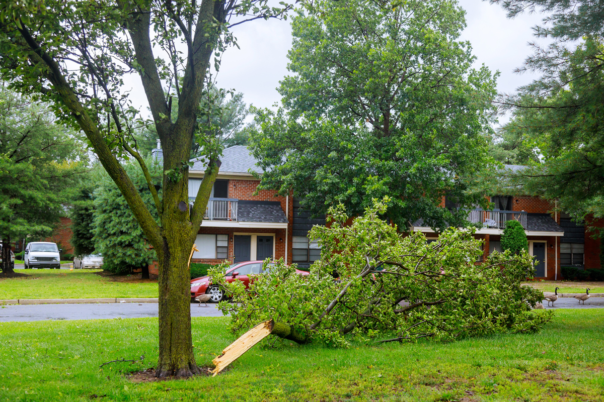 Does Renters Insurance Cover Storm Damage Does Renters Insurance Cover Storm Damage
